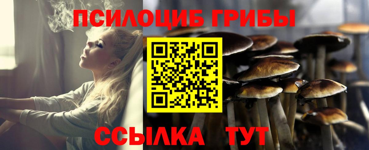 Соликамск  Псилоцибиновые грибы Cubensis  Псилоцибиновые грибы мицелий  Вход с VPN 